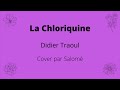 La Chloriquine - Didier Traoul (Piano Cover)