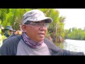 MANCING MANIA - Berburu Snakehead Ke Kalimantan Selatan 3-1