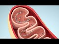 Intestinal Healing with Alpha Waves: (WARNING:VERY POWERFUL!) The Body Is Repair After 14 Min..