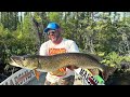 Giant Pike Of Northern Saskatchewan!