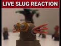Live slug reaction meme (LEGO)