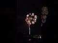 Hanabi (fireworks)