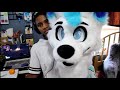 Fursuit Refurb || Connor RK800 Husky