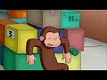 Pigeon Pizza | Curious George | Cartoons for Kids | WildBrain Kids