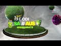 SA v AUS 3rd ODI | Markram's Century and South Africa Spinners Make It 2-1 | Highlights