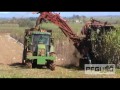 Cane Harvesting Plantation [SD]