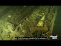Shipwreck filled with bottles of champagne discovered by Polish divers