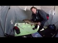 Lake Trout and Whitefish Smashfest - Lake Simcoe