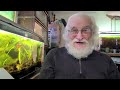 HOW TO  #CYCLE YOUR AQUARIUM WITH FISH