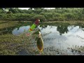 Inilah yang terjadi‼️jika mancing di rawa airnya surut | Solo Fishing