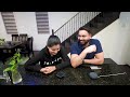 Amazon Alexa vs Google Home Hindi Battle! | Canada Couple Vlogs