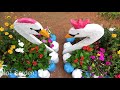 Diy Swan Flower Pots from Plastic Bottles And Concrete For Garden | Cement Pots for Plants