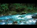 Relaxing river sounds for deep sleep, ASMR, meditation, healing, stress relief, white noise