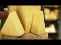 How cheese is made in Europe