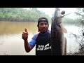 Musim ikan bermigrasi !! Umpan jatuh langsung di hajar monster