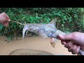 Tajur Ikan Baung | Eps 101