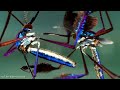 Dance Of The World's Most Beautiful Mosquito