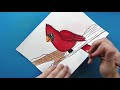 How to Draw a WINTER CARDINAL