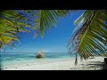 10 minutes healing - along the coast with palm trees. Music to cure depression