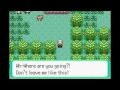 Pokémon Emerald Randomizer (Part 1) - THE JOURNEY BEGINS