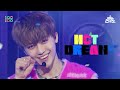 NCT DREAM.zip 📂 Chewing Gum부터 Broken Melodies까지 | Show! MusicCore