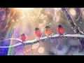 Deep Forest Relaxation, 🍃Ambient Bird Song 🍂🕊️