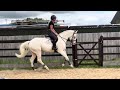 Join up flatwork video