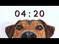15 Minute Timer for School and Homework - Dog Bark Alarm Sound
