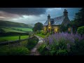 Ambient Lavender & Rain in English Countryside :: ASMR