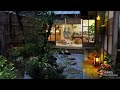 Summer Night Rainy Sound and Piano Tune 🌿 Dog and Cat Garden🐶😸