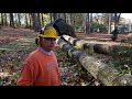 Keeping Big Wood High When Bucking a Log