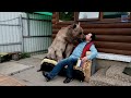 Incredible Family That Lives With A Bear
