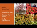 Gardening Year Round with Color w Wanda Stutsman