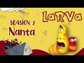 Life Changes -  100 MIN - LARVA- Season 1 Episode 28 ~ 290 - Special Video by LARVA.