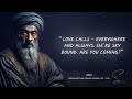 Rumi's True Wisdom | Rumi Quotes for Spiritual Enlightenment