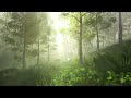 Enchanted Celtic Meadows | Peaceful 432Hz Celtic Music