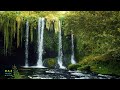 Relaxing music for Stress relief Feel better with natural