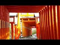 Tsuwano Taikodani Inari Jinja gates