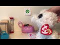 Beanie Boos: Clean Your Room! (skit)