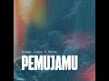 Pemujamu (Perasaanku)