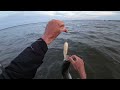 Searching For the First Bluefish of the Season - New England