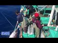 Most Big Net Fishing Tuna Catch Hundreds of Tons of Tuna on Modern Boat