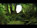 The Moss (Cosmo Sheldrake Cover)
