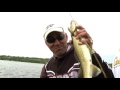 Rice Lake Walleye -2014