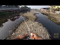 ANEH‼️ Disambar Tapi kok bukan Ikan ⁉️ Sungai Code Yogyakarta Penuh Misteri