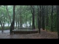 한적한 공원에 내리는 폭우와 거센 빗소리, 숙면, 불면증 해소에 도움 asmr l Heavy Rain Sounds for Sleeping,