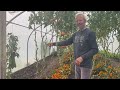 September tour of my no dig vegetable garden