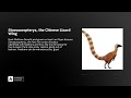 Sinosauropteryx, the Chinese Lizard Wing