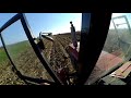 Zetor 12145 / Zetor 12011 Kukorica  Aratás / Harvest / Zniwa / Ernte 2017