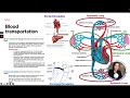 ATI TEAS 7 Science Course | Cardiovascular System